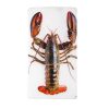 Stigerwoods Decoration Murale Homard Sur Glace Sur Fond Blanc - 20 X 35 Cm Best