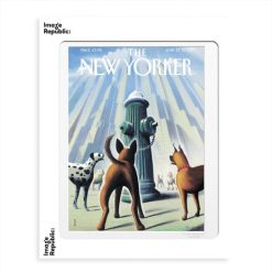 Image Republic Affiche The Newyorker Drooker Dog'S Eye View 27 Juin 2005 - 30 X 40 Cm Clearance