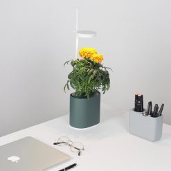 Prêt à pousser Jardin D'Interieur Connecte Nano Garden - Vert Foret Online