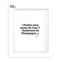 Image Republic Affiche Loic Prigent Pardon Vous Auriez - 30 X 40 Cm Best