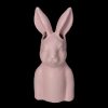 Sélectionné par Fleux Vase Bunny - Rose - 9 Cm X 9 Cm X 22Cm New