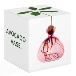 Ilex Studio Vase En Verre Pour Avocat Rose Hot