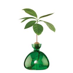 Ilex Studio Vase En Verre Pour Avocat Rose Hot