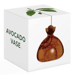 Ilex Studio Vase En Verre Pour Avocat Rose Hot