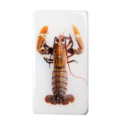 Stigerwoods Decoration Murale Homard Jaune / Fond Blanc - 20 X 35 Cm New