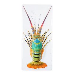 Stigerwoods Decoration Murale Jual Homard Laut 2 - 20 X 40 Cm Wholesale