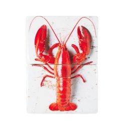 Stigerwoods Decoration Murale Homard Rouge / Fond Blanc - 29 X 40 Cm New