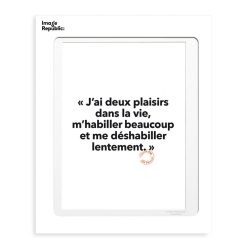 Image Republic Affiche Loic Prigent J'Ai Deux Plaisirs - 30 X 40 Cm Wholesale