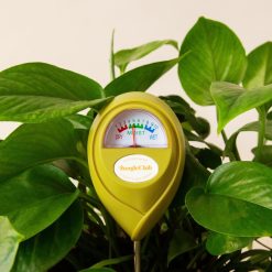 Jungle Club Humidimetre Vert Hot