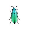 Assembli Trophee Origami Coleoptere Vert Cariben Metallique Hot