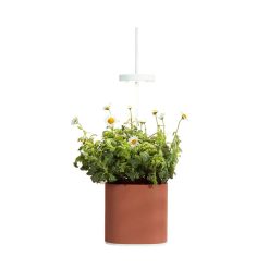 Prêt à pousser Jardin D'Interieur Connecte Nano Garden - Terracotta Online