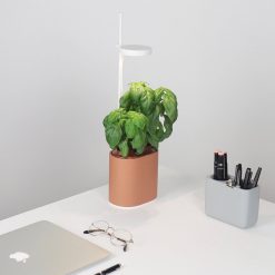 Prêt à pousser Jardin D'Interieur Connecte Nano Garden - Terracotta Online